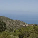 T'aloni 게스트하우스 3*