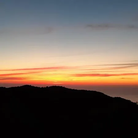 T'aloni Pensiune